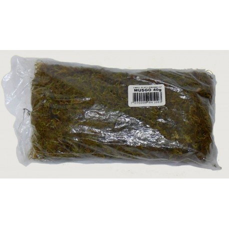 Musgo Verde Limão