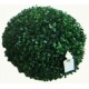 Topiara GG 33cm
