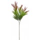 Haste de Cedrinho X3 Verde com Marron