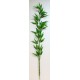 Vareta Bambu 1,15M M