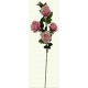 Haste de Rosa Madri X5 Rosa Escuro